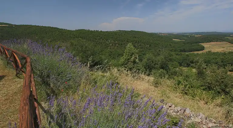 Casa rurale in Casole d'Elsa