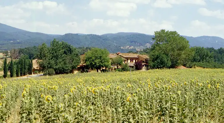 Gårdhus i Pievescola