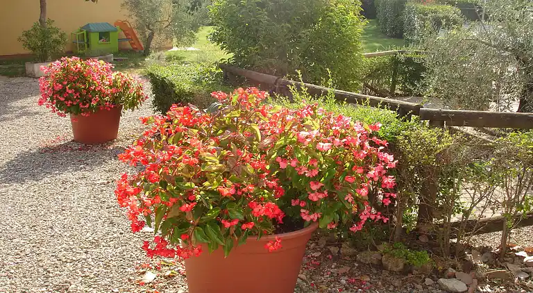 Gårdhus i Pievescola