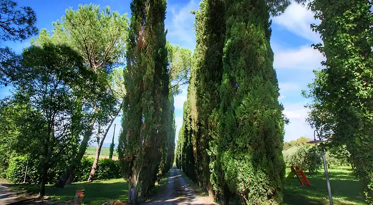 Appartamento in Mensanello