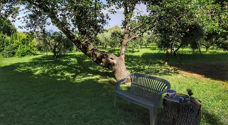 Appartamento in Mensanello