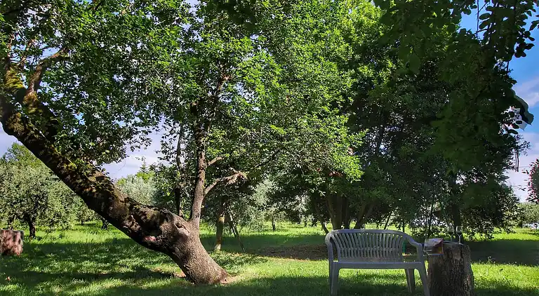Ferienhaus in Mensanello