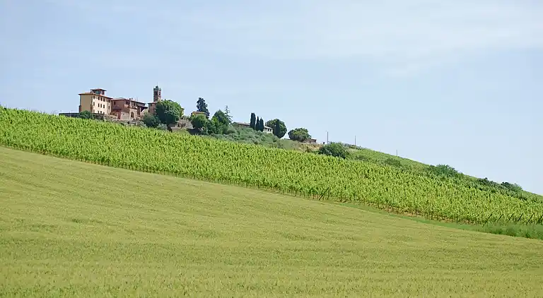 Sommerhus i San Gimignano