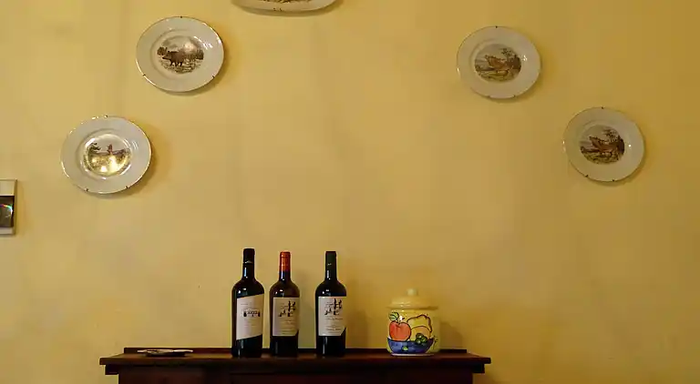 Sommerhus i San Gimignano