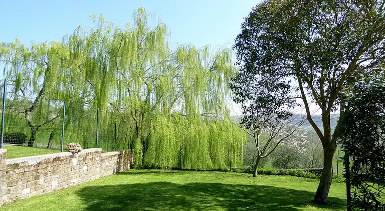 Holiday home in San Casciano dei Bagni