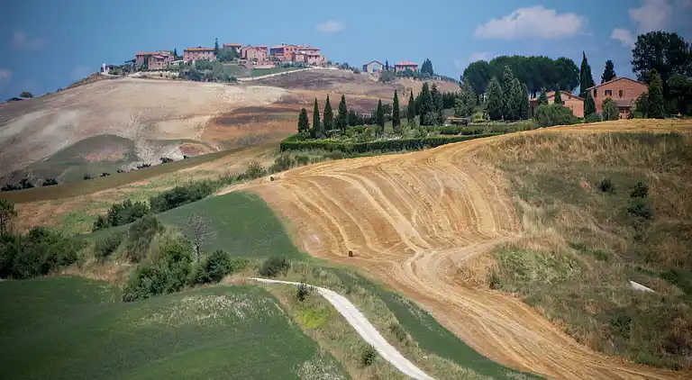 Farm house in Asciano