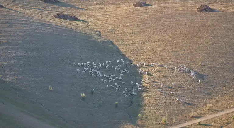 Farm house in Asciano