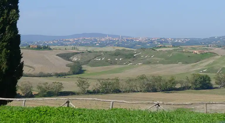 Farm house in Asciano
