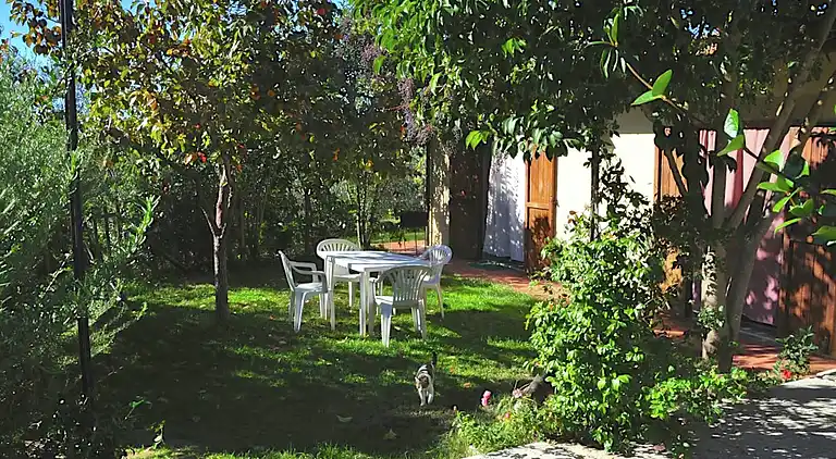 Boerderij in Asciano