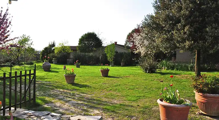 Boerderij in Asciano