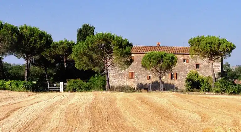 Boerderij in Asciano