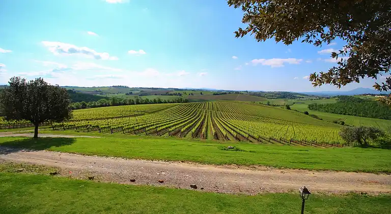 Gårdhus i Montepulciano