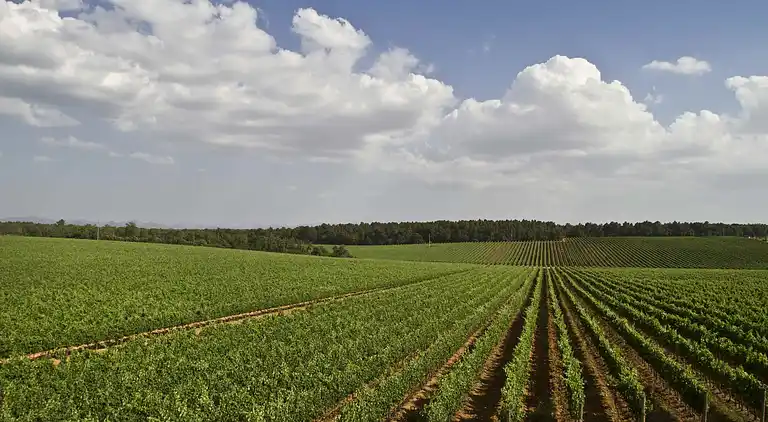 Farm house in Montepulciano