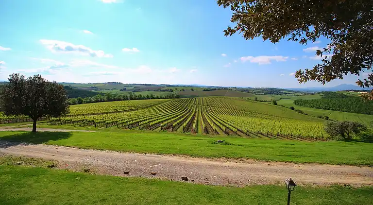 Gårdshus i Montepulciano