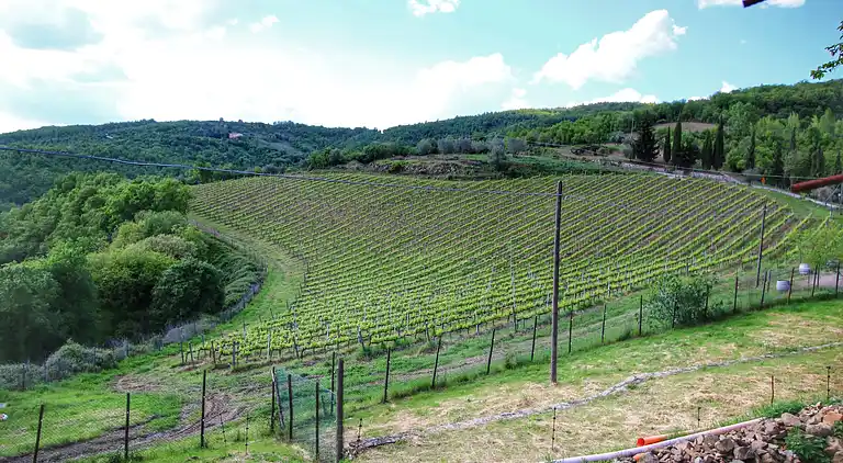 Gårdshus i Montepulciano