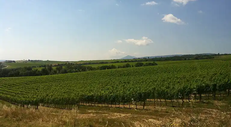 Gårdshus i Montepulciano