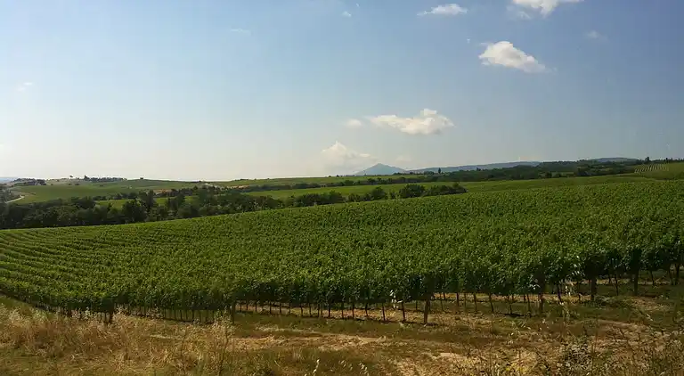 Farm house in Montepulciano