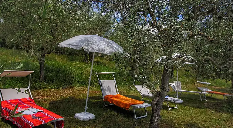 Farm house in Le Tolfe