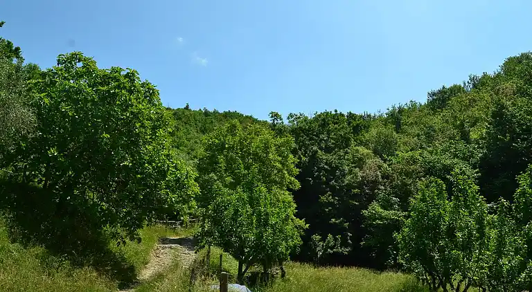 Cottage in Fivizzano