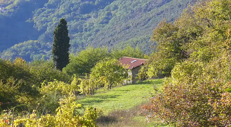 Cottage in Casoli