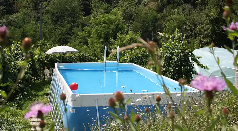 Sommerhus i Molazzana