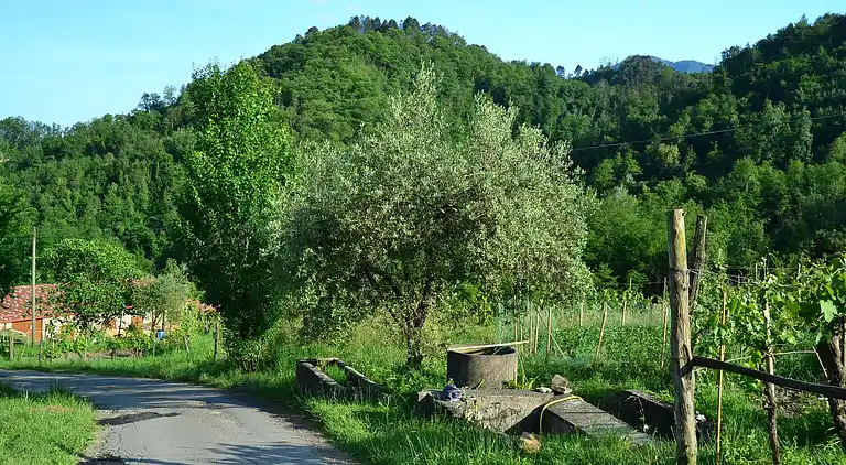 Sommerhus i Molazzana