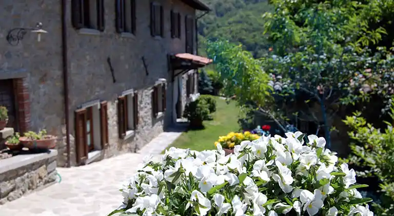 Farm house in Castiglione di Garfagnana