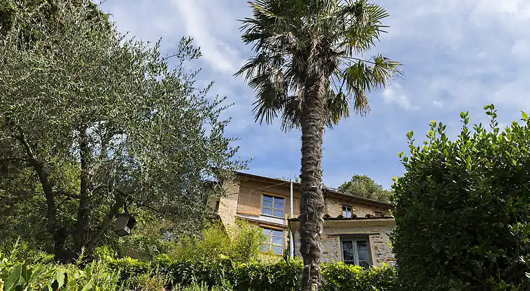 Holiday home in Metato