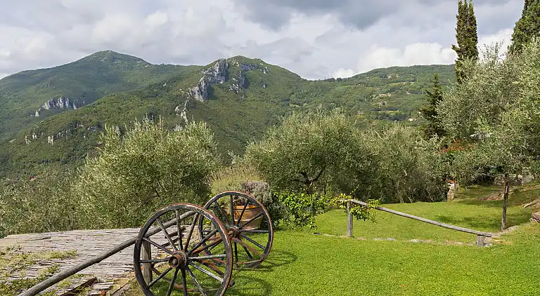 Holiday home in Metato