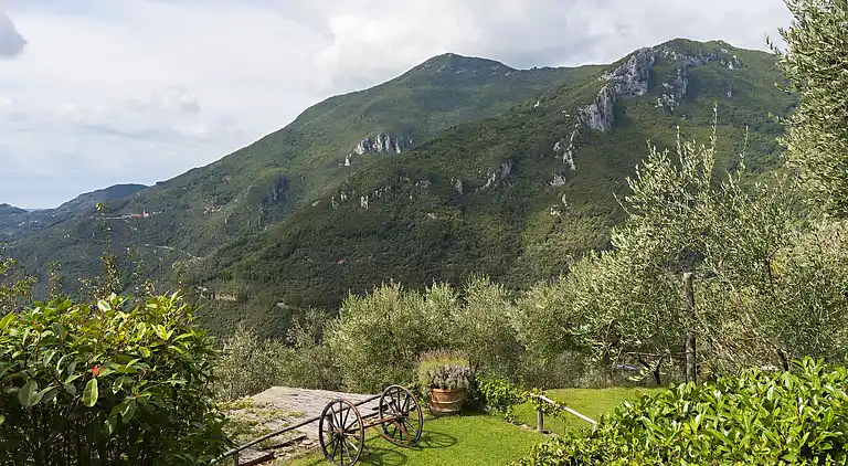 Holiday home in Metato