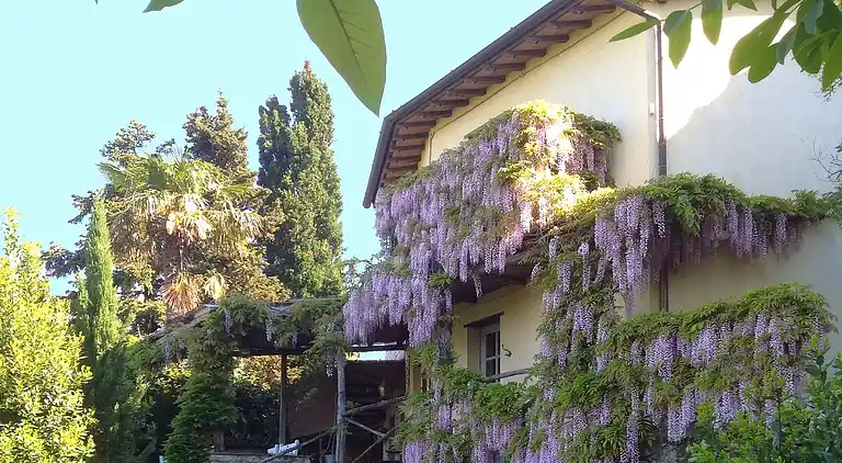 Holiday home in Metato