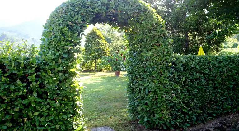 Sommerhus i Camaiore