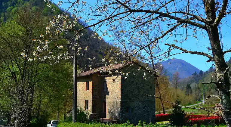 Cottage in Trebbio