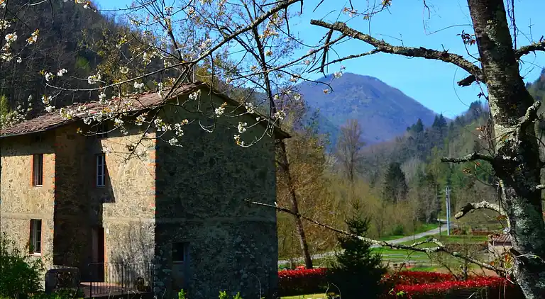 Cottage in Trebbio