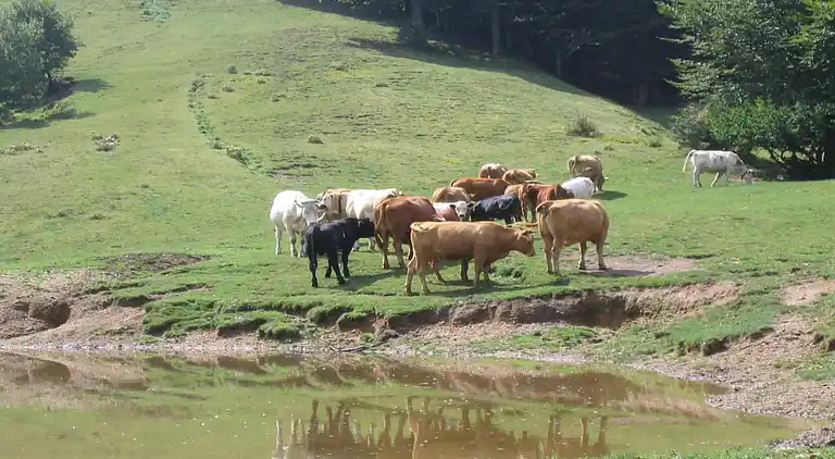 Semesterbostad i Pascoso