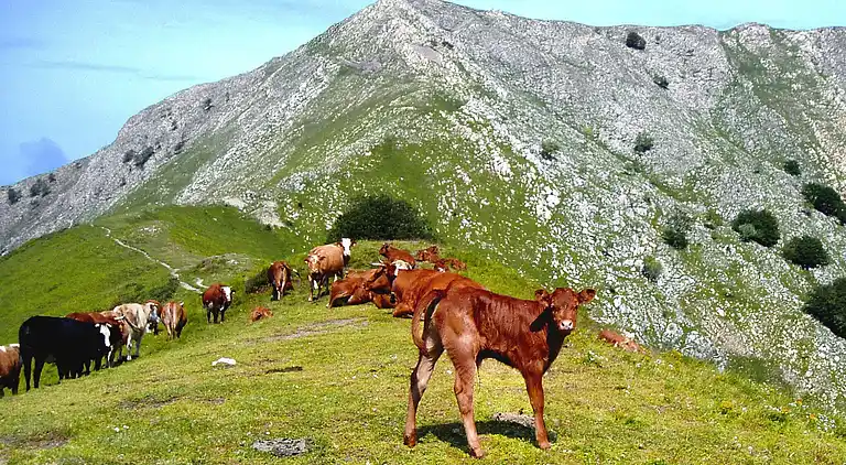 Semesterbostad i Pascoso