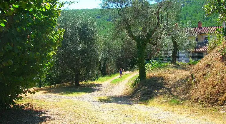 Holiday home in Vicopisano