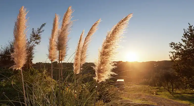 Holiday home in Mura