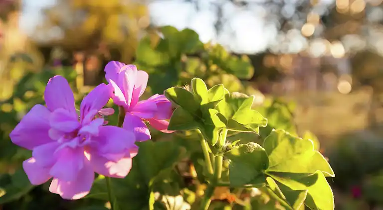 Holiday home in Mura