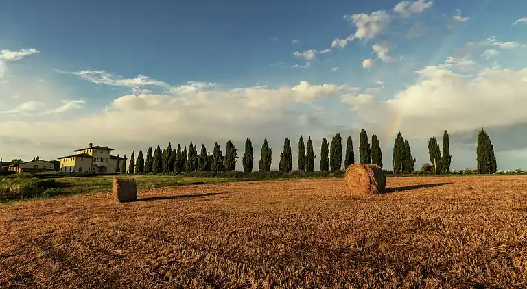 Holiday home in Terricciola