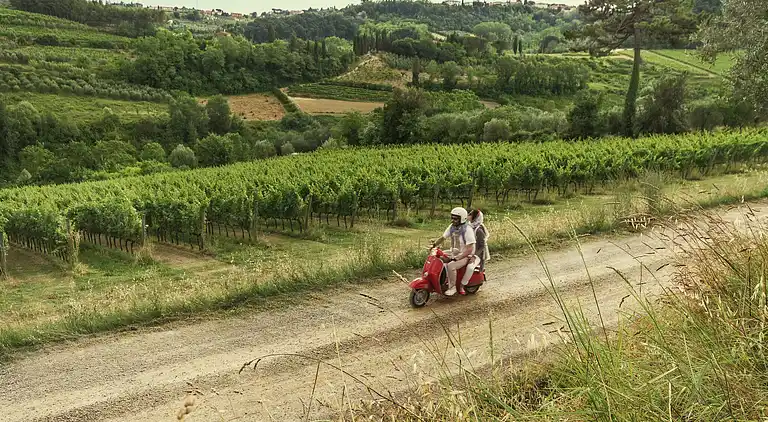 Holiday home in Terricciola