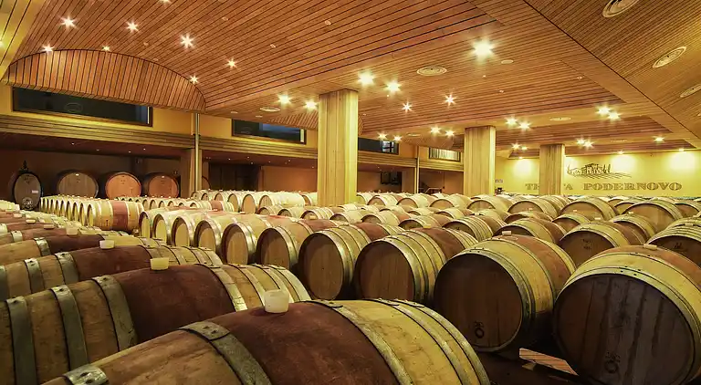 Holiday home in Terricciola