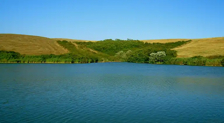 Ferienhaus in Peccioli