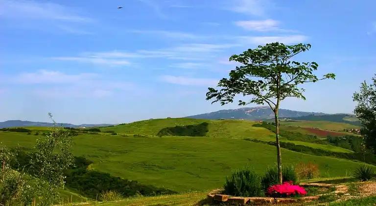 Farm house in Peccioli