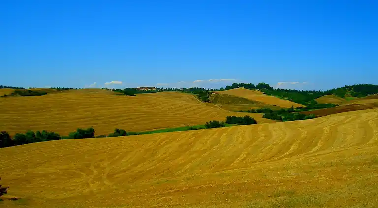 Farm house in Peccioli