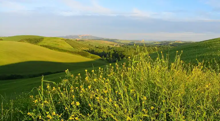 Farm house in Peccioli
