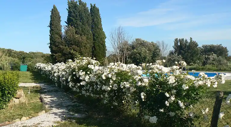 Villa in Monteverdi Marittimo