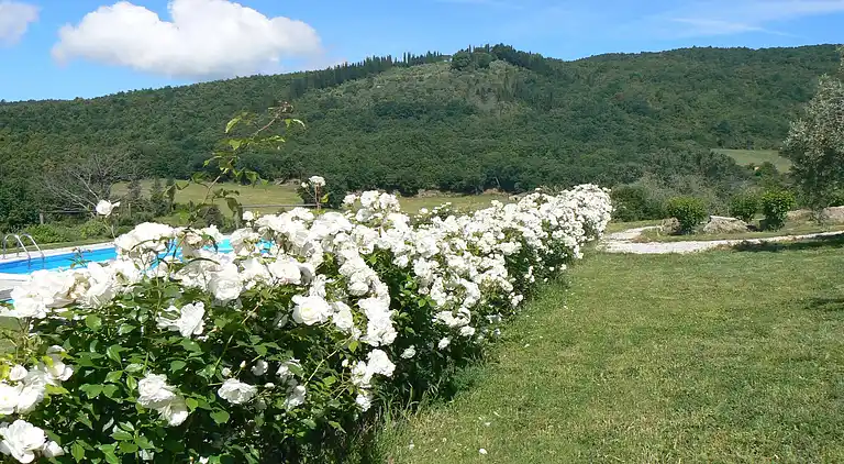 Villa in Monteverdi Marittimo