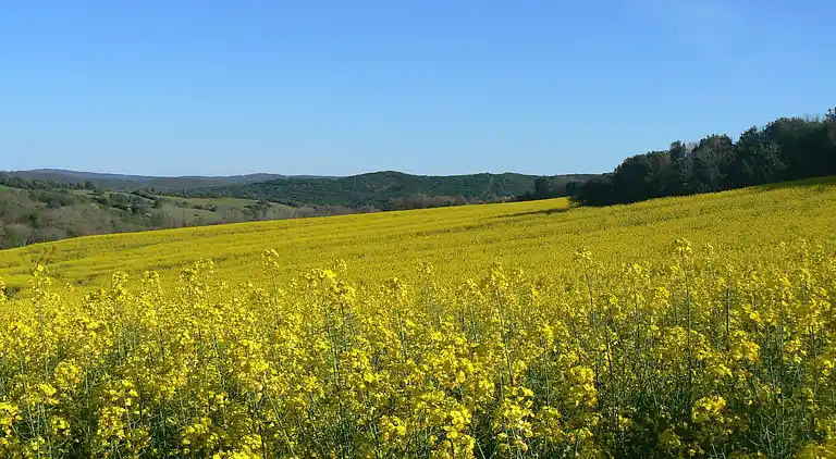 Villa in Monteverdi Marittimo