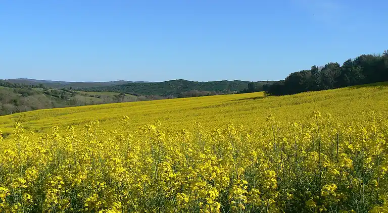 Villa in Monteverdi Marittimo